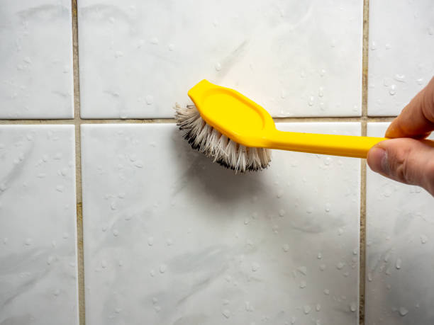 Best Attic Mold Removal  in Holcom, KS