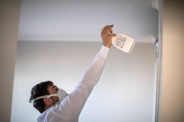 Best Black Mold Removal  in Holcom, KS