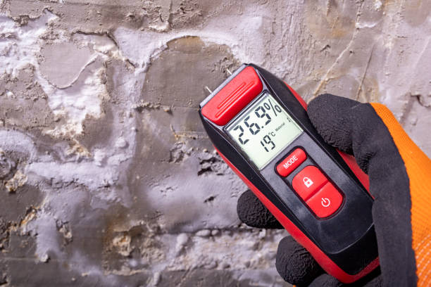Mold Testing and Removal in Holcom, KS