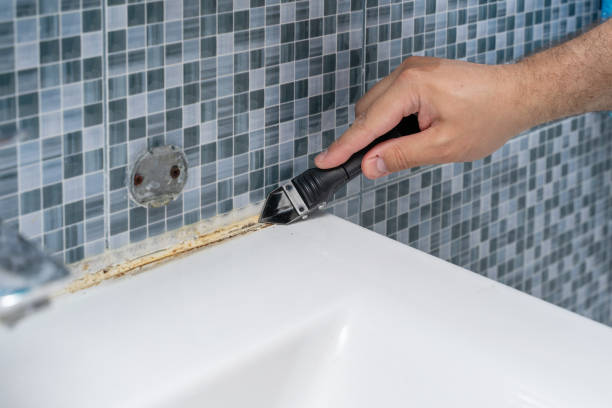 Best Black Mold Removal  in Holcom, KS