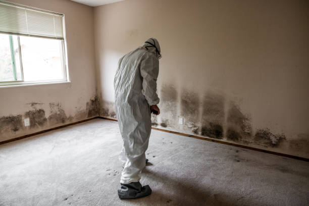 Best Crawl Space Mold Removal  in Holcom, KS