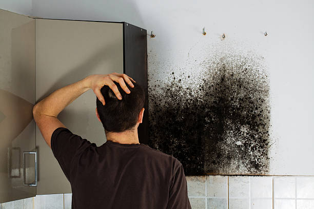 Best Crawl Space Mold Removal  in Holcom, KS